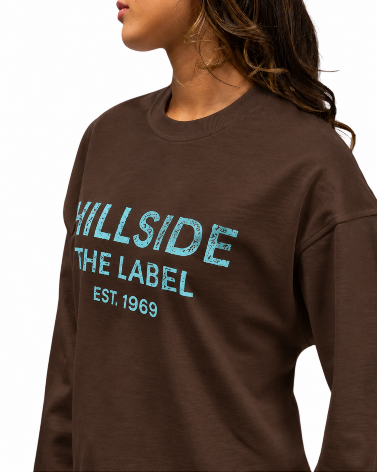 Destroyed Longsleeve Brown Tiffany Pre Order